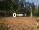 Lands For Sale In Kurunegala
